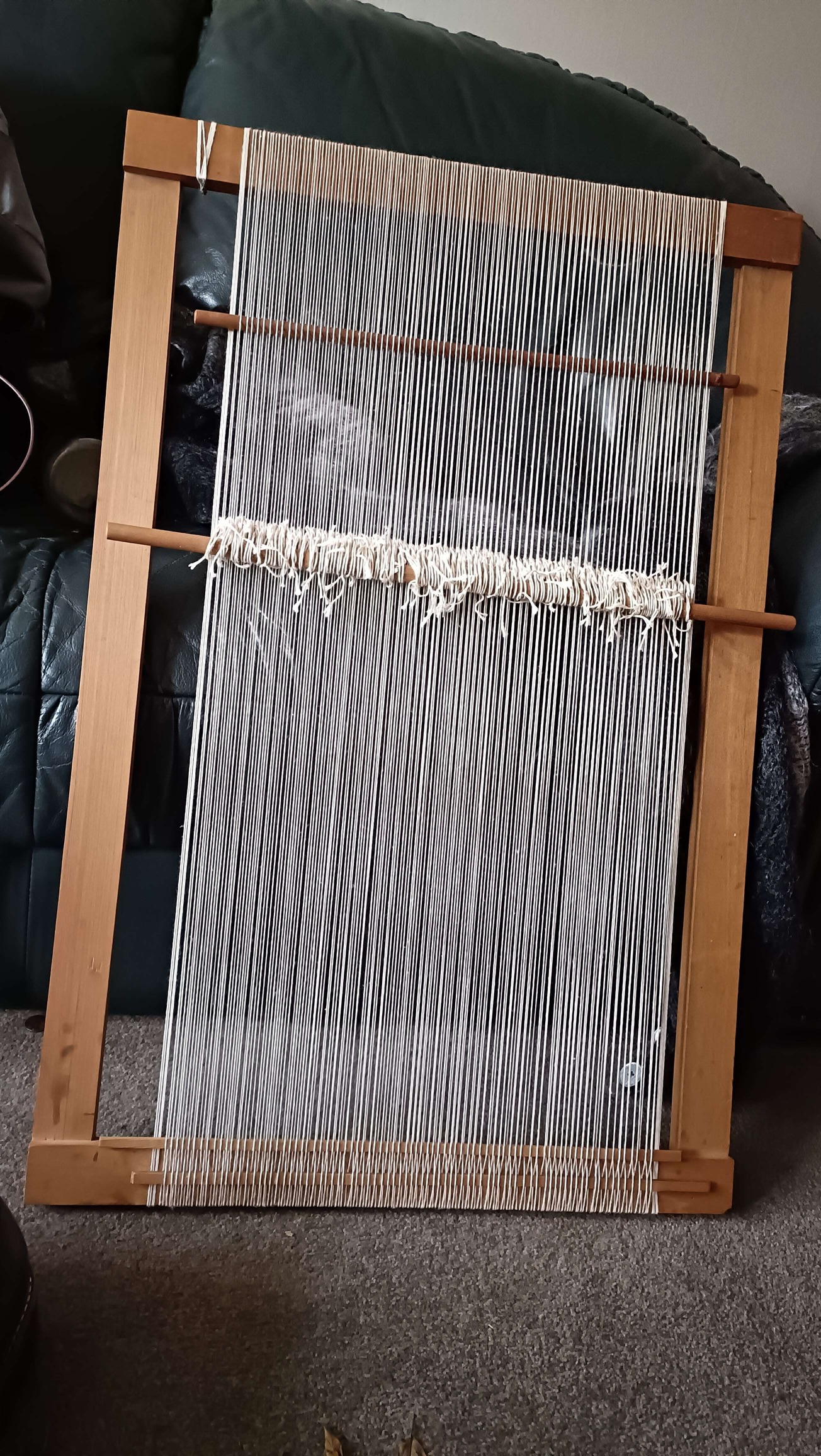 Rug Check #1