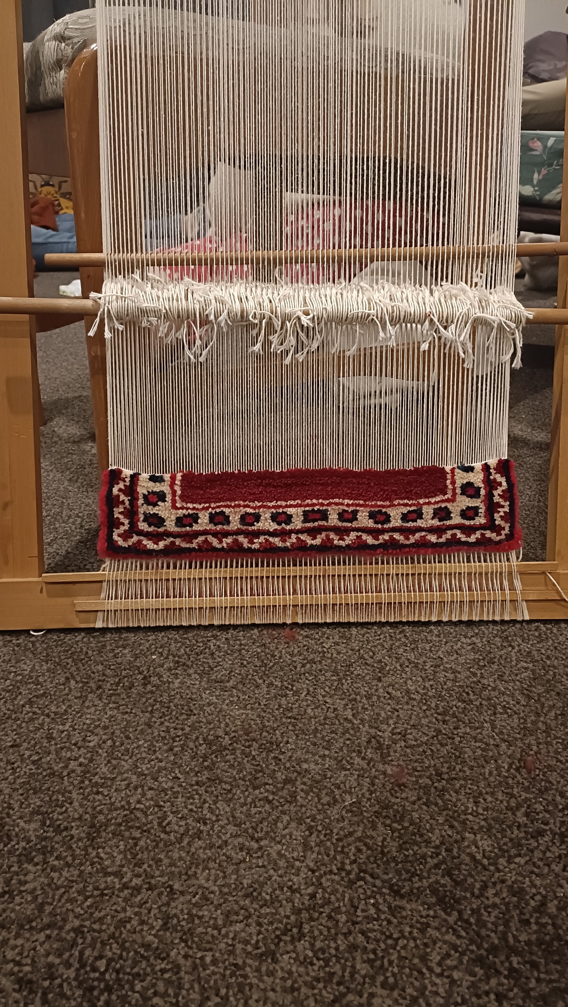 Rug Check #3